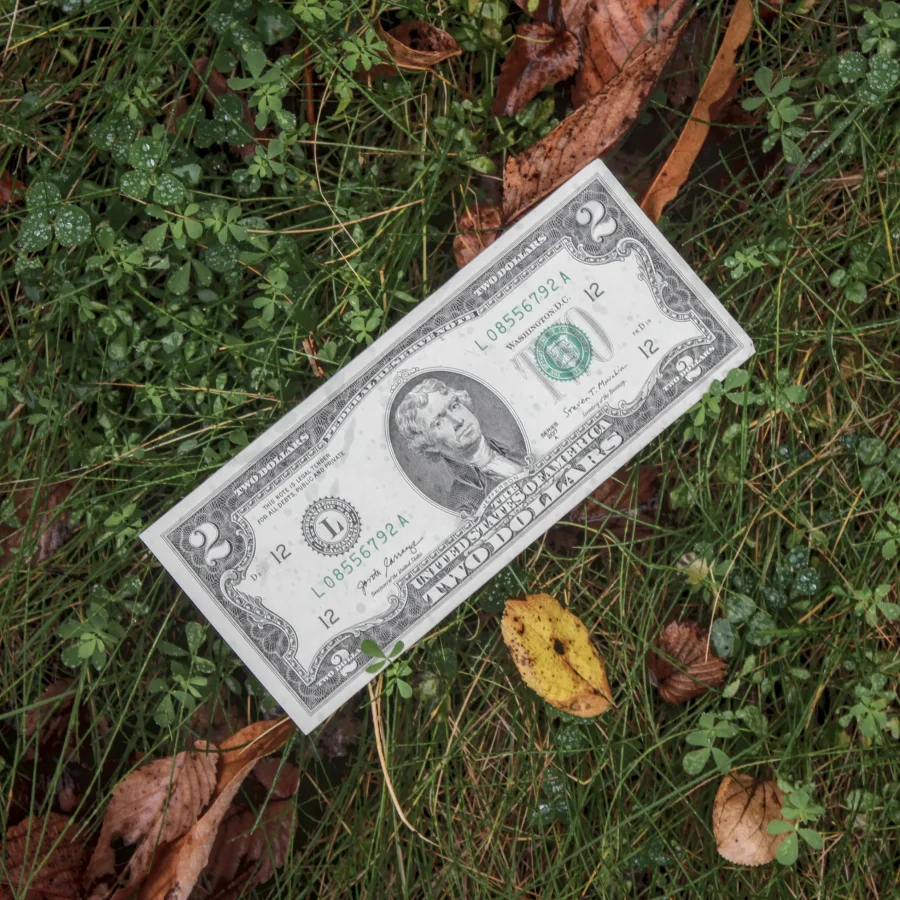 Cover art for the single "$2 Bill" by Courtyard